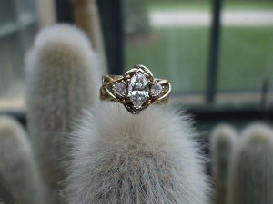 LongwoodRing 071.jpg