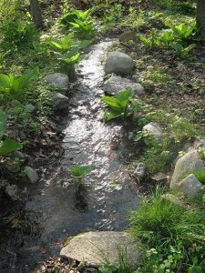 stream 1.JPG