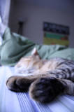 th_015.jpg