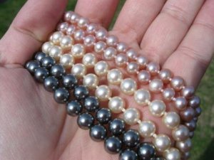 Eqs Pearls 012.jpg