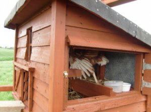 Chuckchuckchuckinternalcrib.jpg