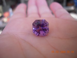Picture 246.jpg