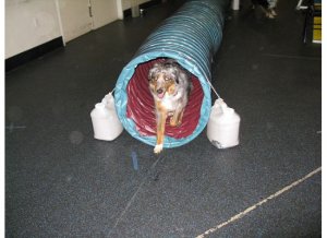 bentunnelpic7.jpg