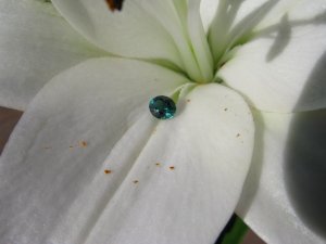 IMG_0877s.jpg