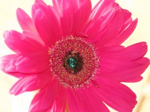 IMG_0892s.jpg