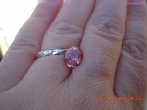 xxPicture 416.jpg