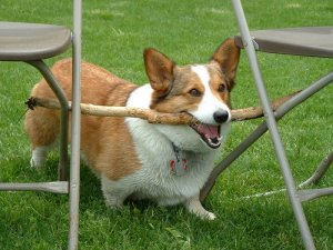 image026.jpg