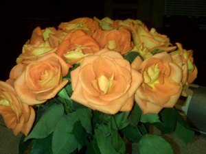 amsflowers1.JPG amsflowers1.JPG