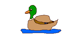 duckharriet.gif