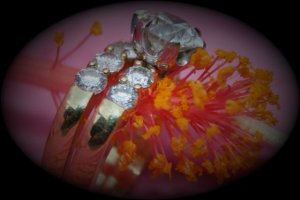 DebbiesRing010.jpg