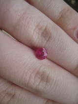 pics of ruby 011.JPG