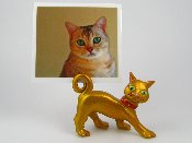Picture Cat.jpg