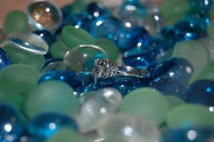ringinfishbowl1.jpg