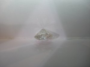 mii-IMG_8234.jpg