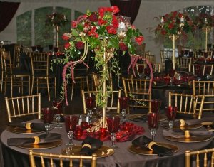 rented elegance.jpg