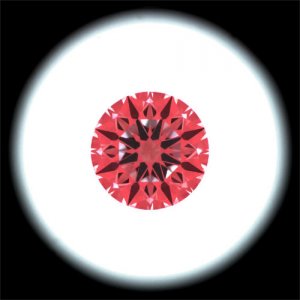 IS_AGS10042405.jpg