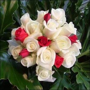 redandwhiterosebouquet.jpg