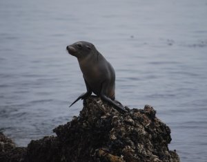 DSC_0340.JPG