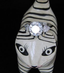 0123108_ring_024.jpg