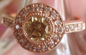 brown_in_rose_halo.JPG brown_in_rose_halo.JPG