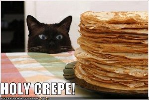 lolcatsrtehfunny.JPG