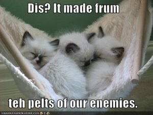 lolcatsdisitmadefrumtehpeltsofourenemies.jpg