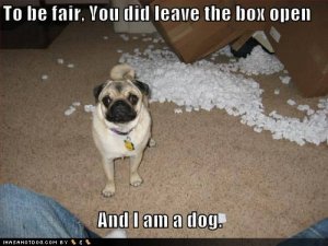 loldogstobefair.jpg