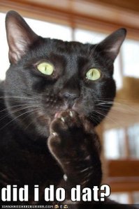 lolcatsdididodat.jpg