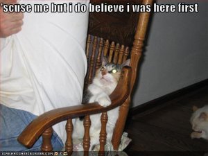 lolcatsscusemebutidobelieveiwasherefirst.jpg
