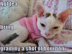 lolcatsnotteabringgrammyashotofbourbon.jpg