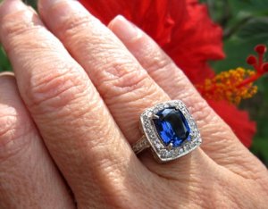 New & Blue 5.JPG