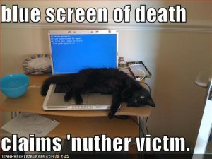 lolcatsbluescreenofdeathclaimsnuthervictm.jpg
