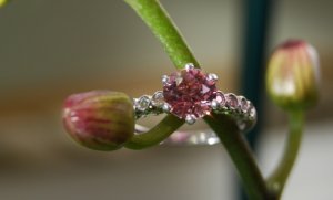 Ring_Malaya Garnet-1.JPG