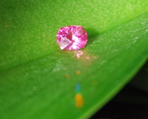 Spinel_neon-4.JPG