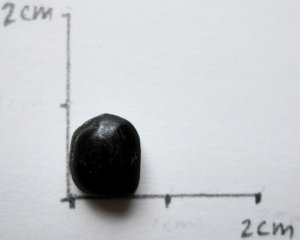 black star of india gem black star of india gem