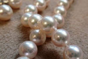 Akoya_Pearls_Museum_Way.JPG Akoya_Pearls_Museum_Way.JPG