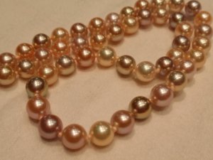 Exotic_Pearl_Pearl_Paradise.JPG