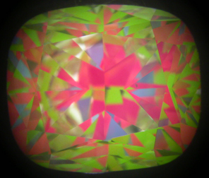 V7731A.JPG