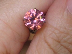 IMG0284.jpg