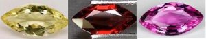marquises1234.jpg