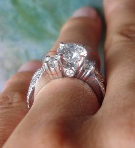 prongs121454.JPG prongs121454.JPG