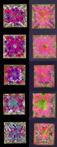 ASET&DCpics.jpg ASET&DCpics.jpg