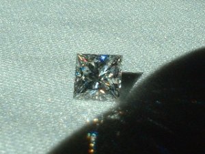 DSCF0059.JPG