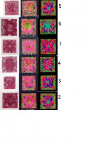 numbered6.JPG