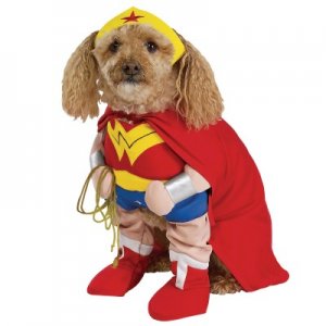 doggiewonder.jpg