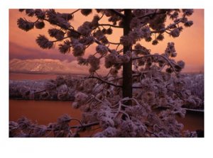 laketahoepainting.jpg