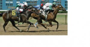 RacingAQHAforPS.JPG