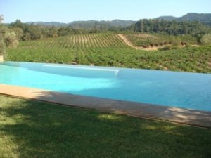 poolandvineyard.JPG