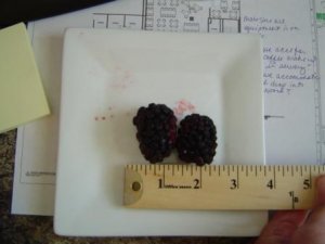 blackberry2.JPG
