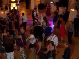 Morgie Dance.jpg